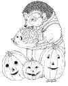 hedgie_carves_a_pumpkin_coloring_page.jpg (83595 bytes)