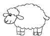 schaap.jpg (32595 bytes)